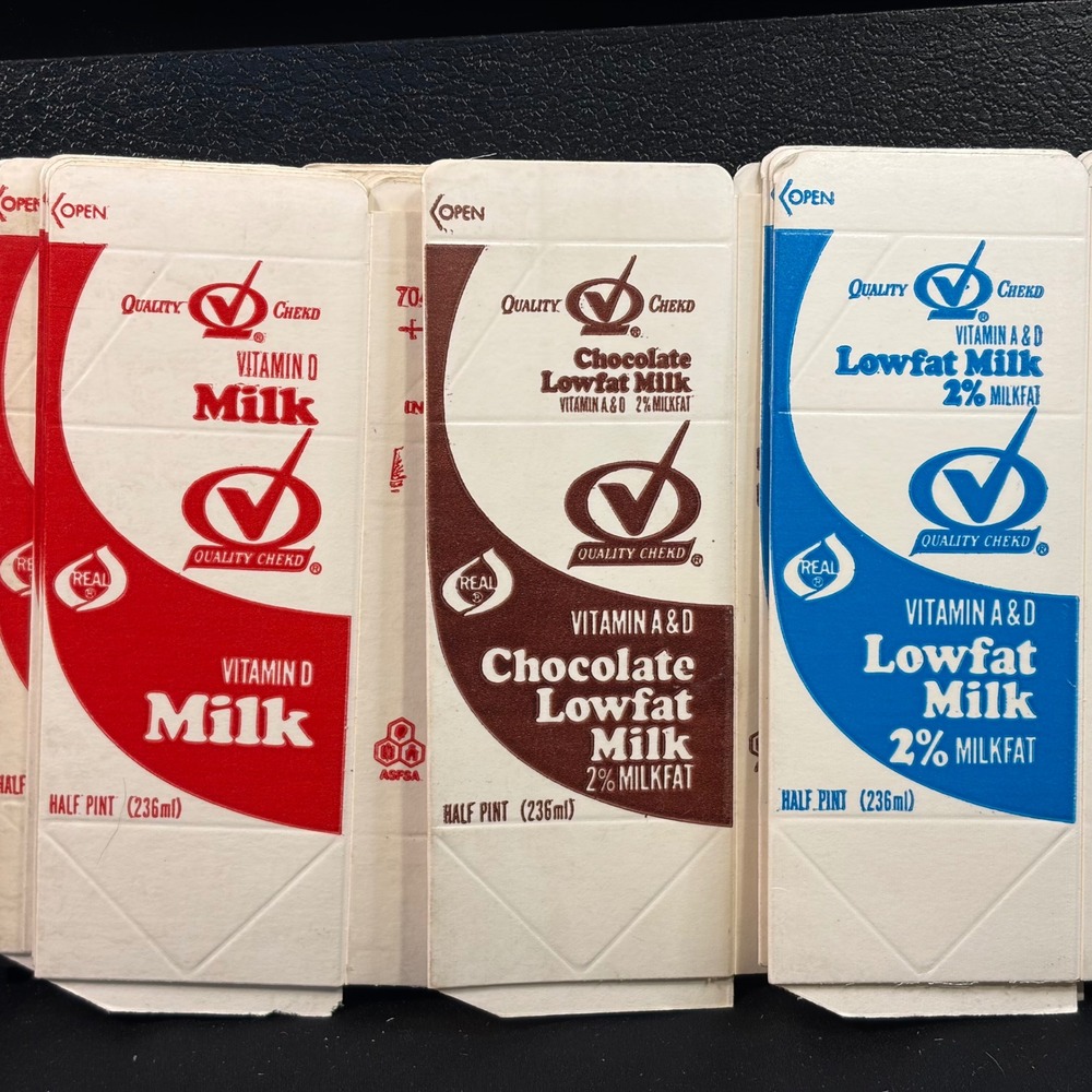 Vintage 1990 Quality Chekd Milk Cartons Rudy Raccoon School Dairy Lot of 10